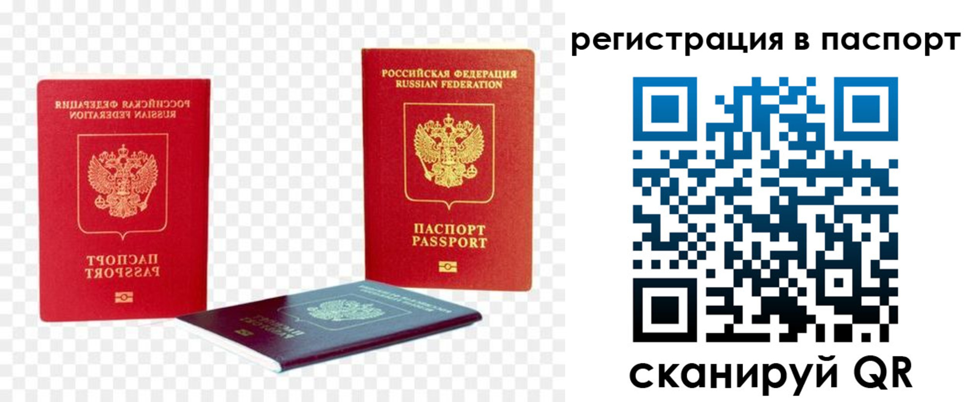 временная регистрация поиск в Фрязино